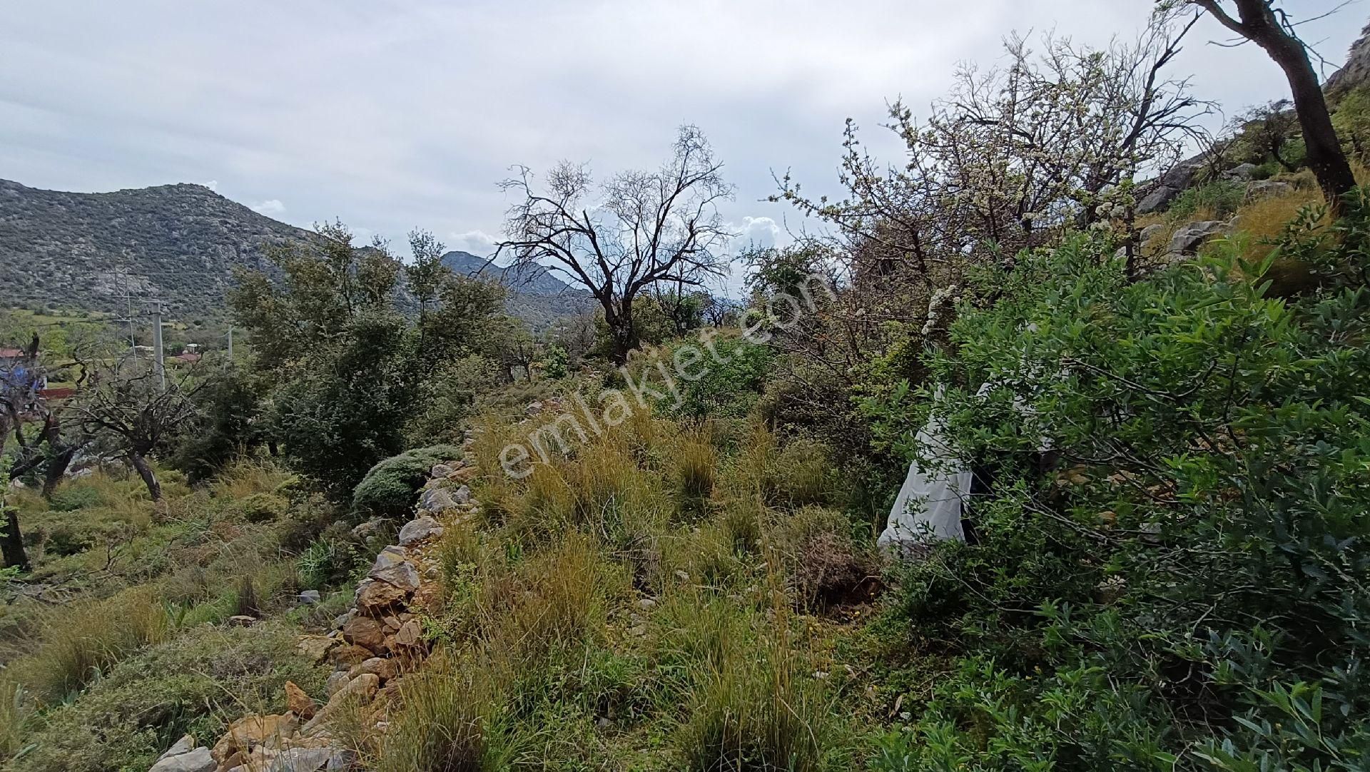 Joker: Bozburun İmara Yakın Kadastral Yolu Olan Satılık Tarla - Görsel 9