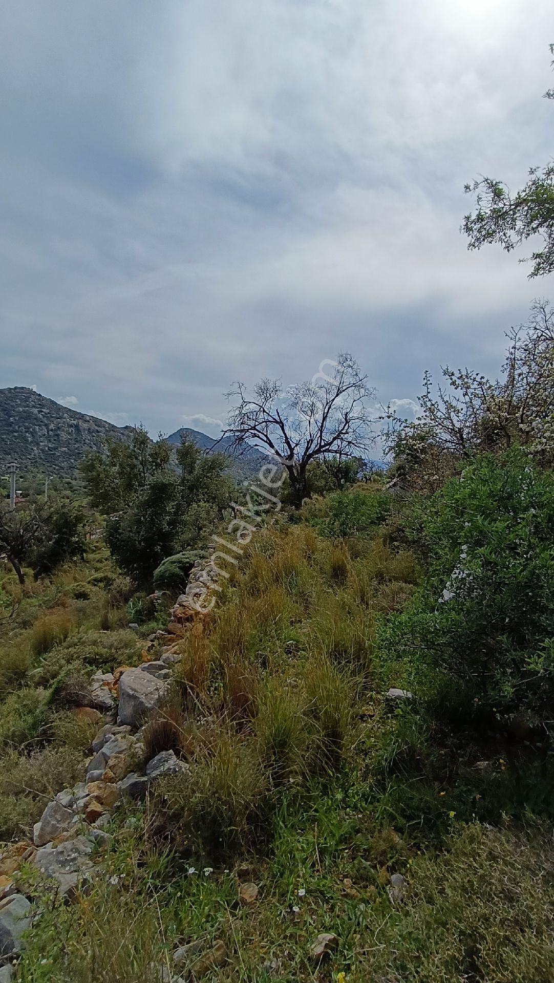 Joker: Bozburun İmara Yakın Kadastral Yolu Olan Satılık Tarla - Görsel 11