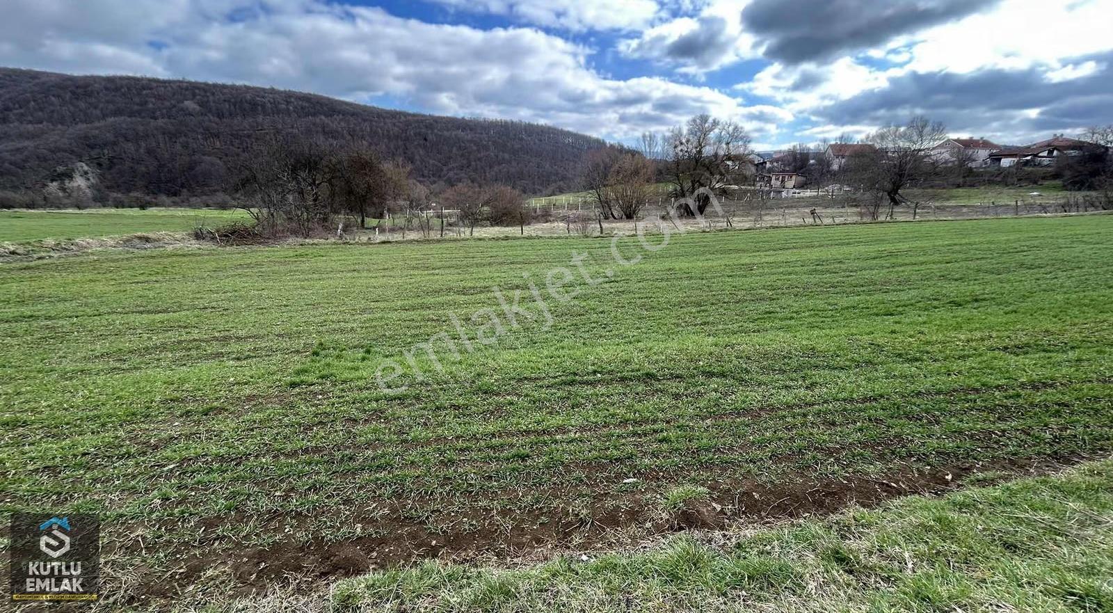 Yumrukaya Köy Yerleşik Alanında Satılık 2900 M2 Tarla - Görsel 20