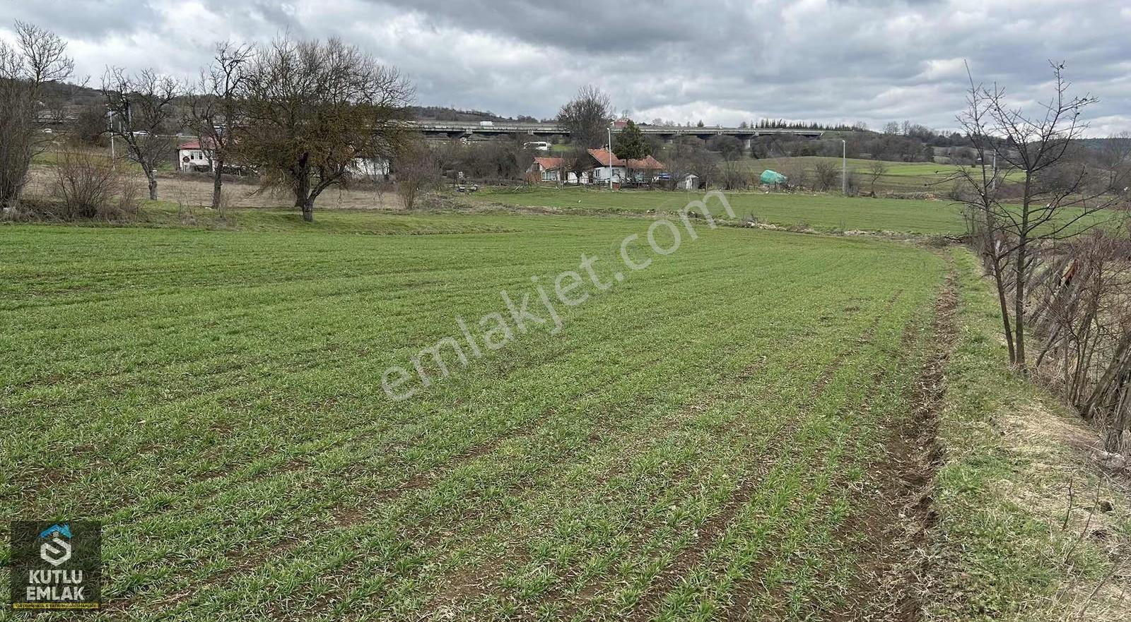Yumrukaya Köy Yerleşik Alanında Satılık 2900 M2 Tarla - Görsel 15