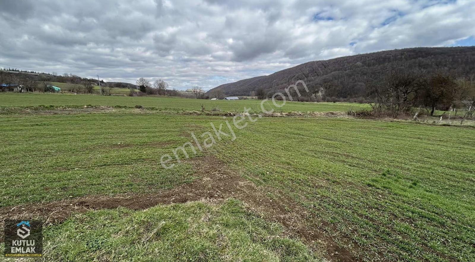Yumrukaya Köy Yerleşik Alanında Satılık 2900 M2 Tarla - Görsel 18