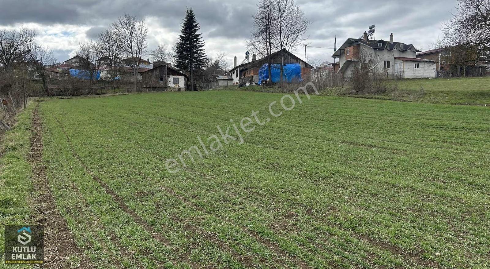 Yumrukaya Köy Yerleşik Alanında Satılık 2900 M2 Tarla - Görsel 2