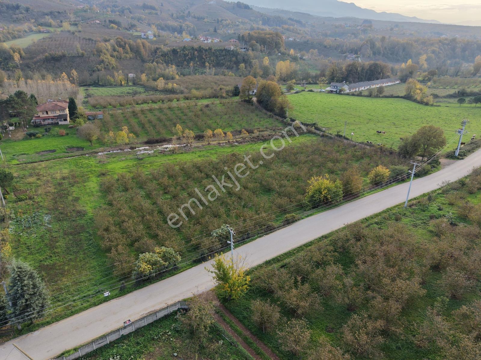 Emlakevim - Yeşilvadi Mahallesinde Satılık 1250 M2 İmarlı Arsa ! - Görsel 14