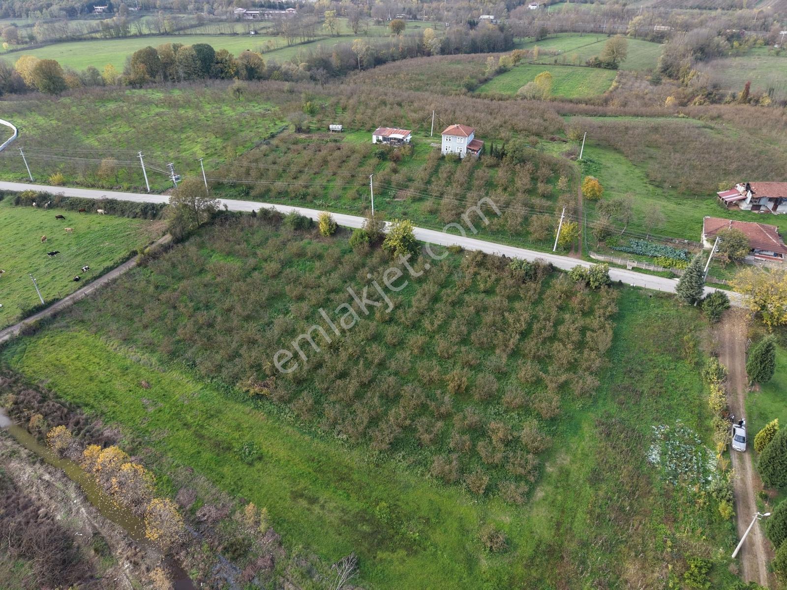 Emlakevim - Yeşilvadi Mahallesinde Satılık 1250 M2 İmarlı Arsa ! - Görsel 8