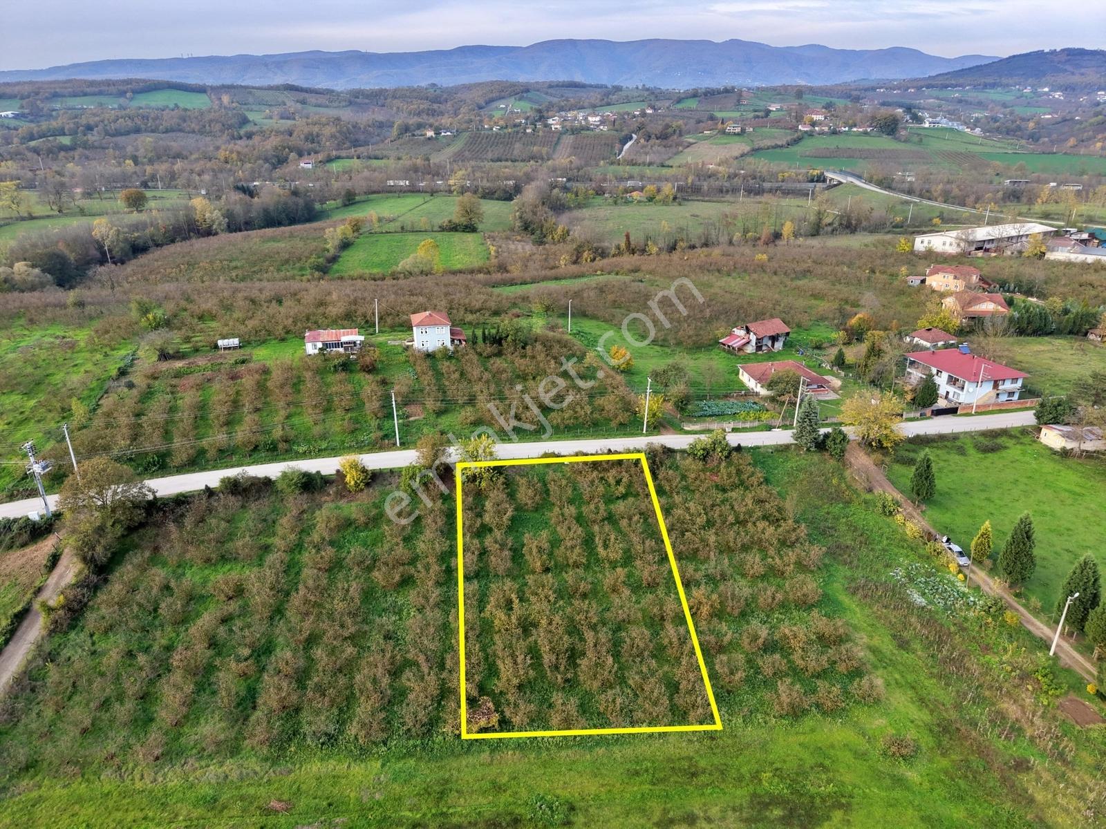 Emlakevim - Yeşilvadi Mahallesinde Satılık 1250 M2 İmarlı Arsa ! - Görsel 7