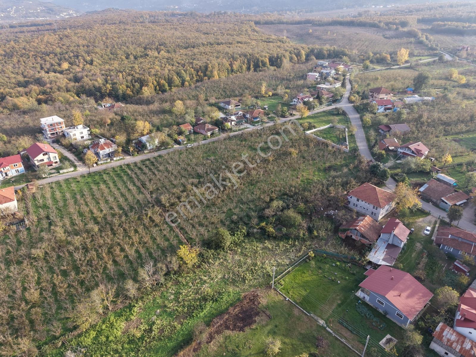 Emlakevim - Küçücek Cumhuriyet Mah.de Satılık 480 M2 İmarlı Arsa - Görsel 9