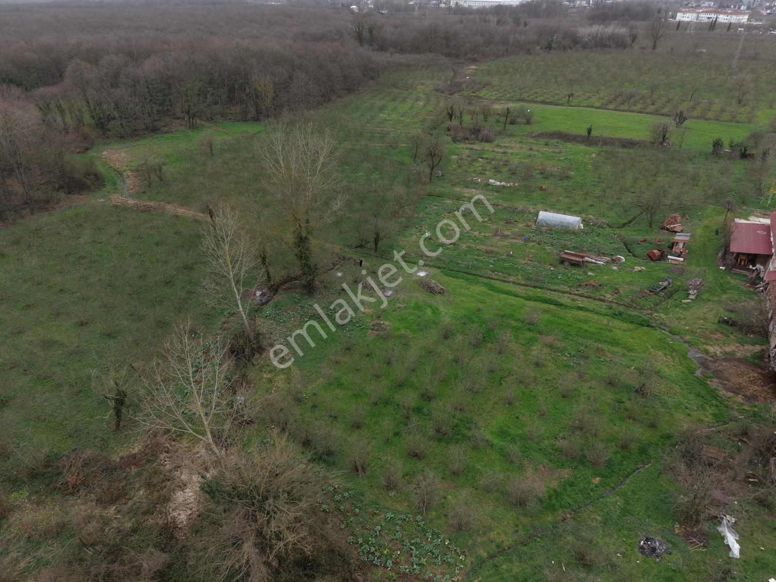 Emlakevim - Hendek Akova Mah. 414 M2 Satılık İmarlı Arsa !! - Görsel 8