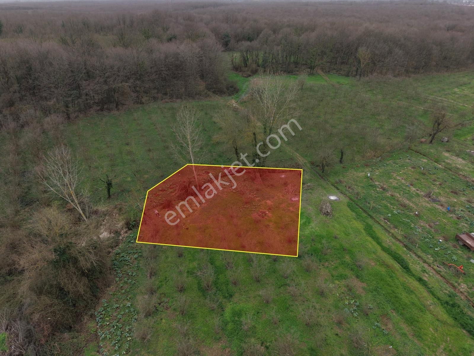 Emlakevim - Hendek Akova Mah. 414 M2 Satılık İmarlı Arsa !! - Görsel 14