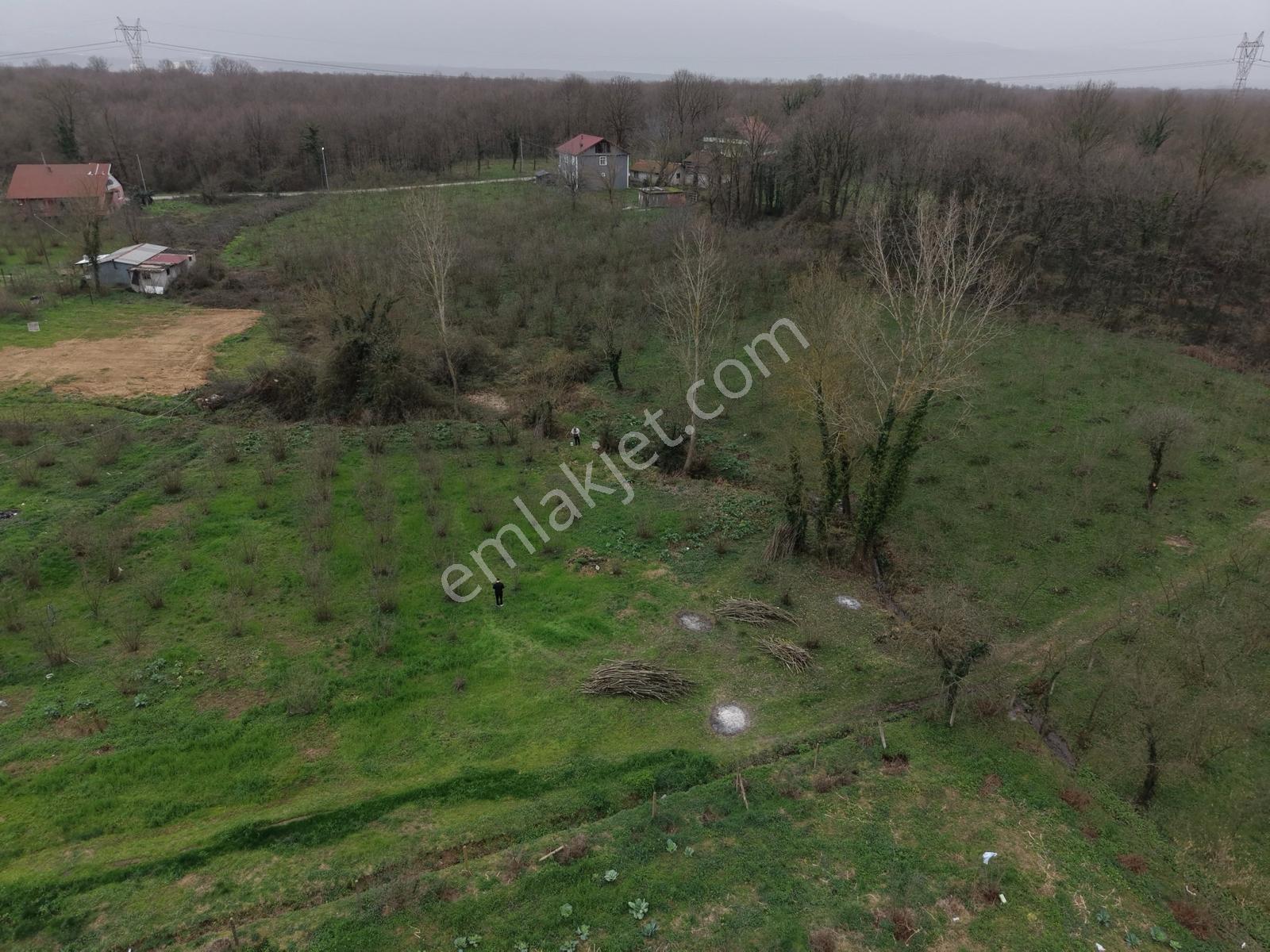 Emlakevim - Hendek Akova Mah. 414 M2 Satılık İmarlı Arsa !! - Görsel 29