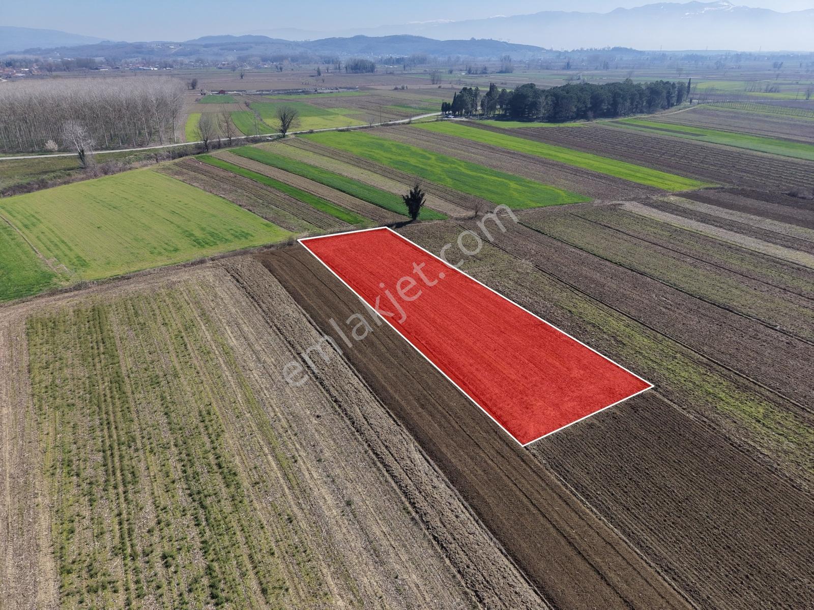 Emlakevim - Akyazı Yenidoğan Mah. 1660 M2 Satılık Arsa !!! - Görsel 27