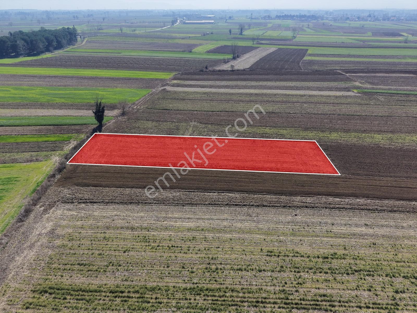 Emlakevim - Akyazı Yenidoğan Mah. 1660 M2 Satılık Arsa !!! - Görsel 10