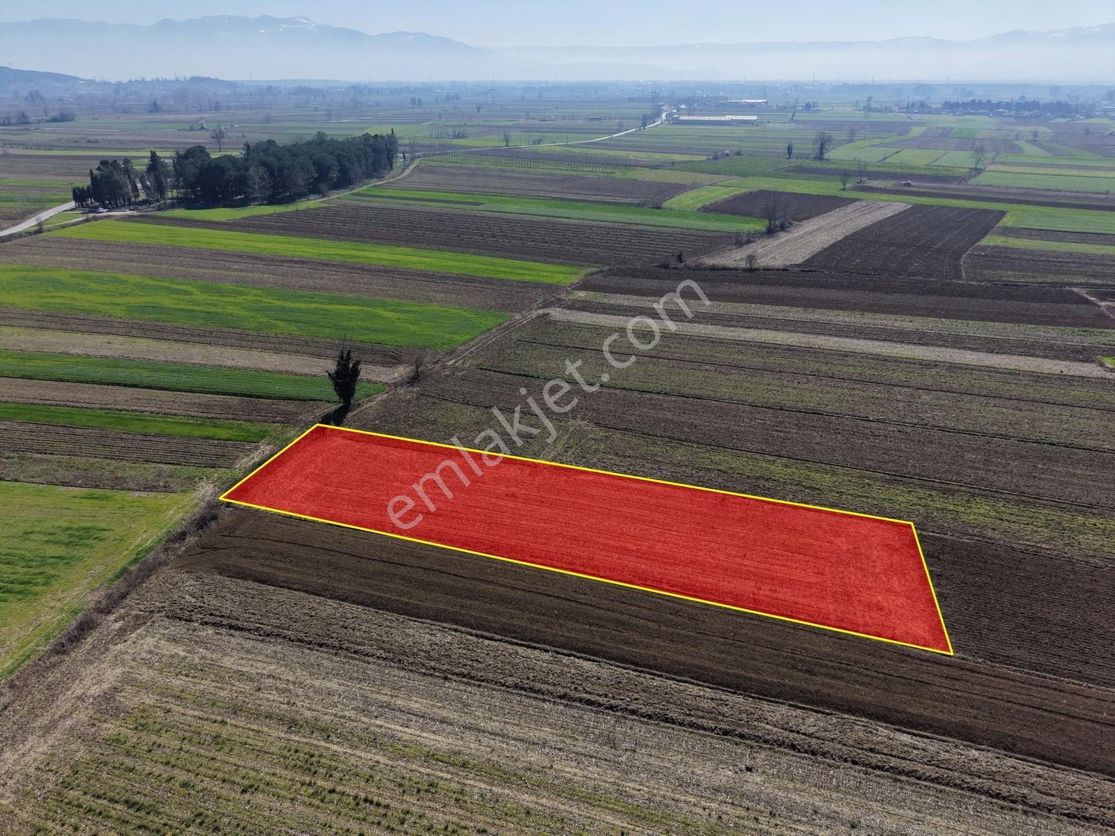 Emlakevim - Akyazı Yenidoğan Mah. 1660 M2 Satılık Arsa !!! - Görsel 4