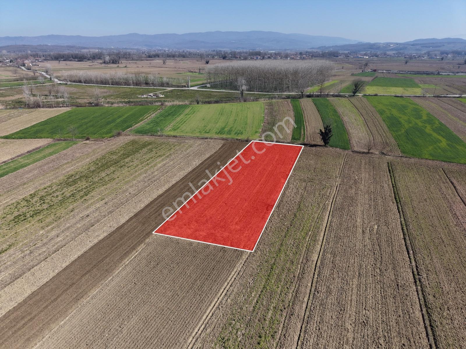 Emlakevim - Akyazı Yenidoğan Mah. 1660 M2 Satılık Arsa !!! - Görsel 15