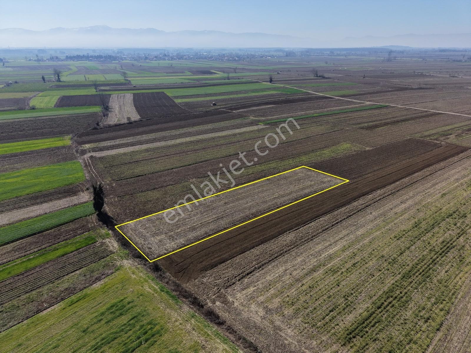 Emlakevim - Akyazı Yenidoğan Mah. 1660 M2 Satılık Arsa !!! - Görsel 35