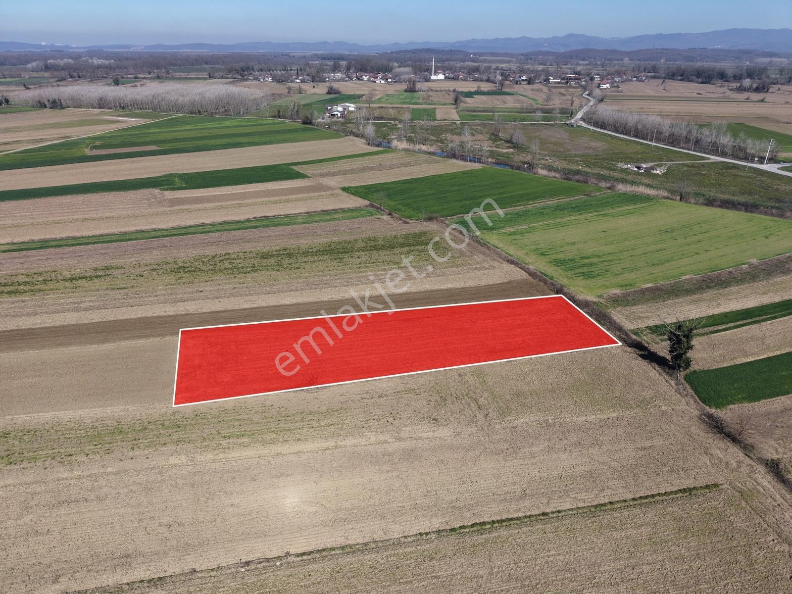 Emlakevim - Akyazı Yenidoğan Mah. 1660 M2 Satılık Arsa !!! - Görsel 30