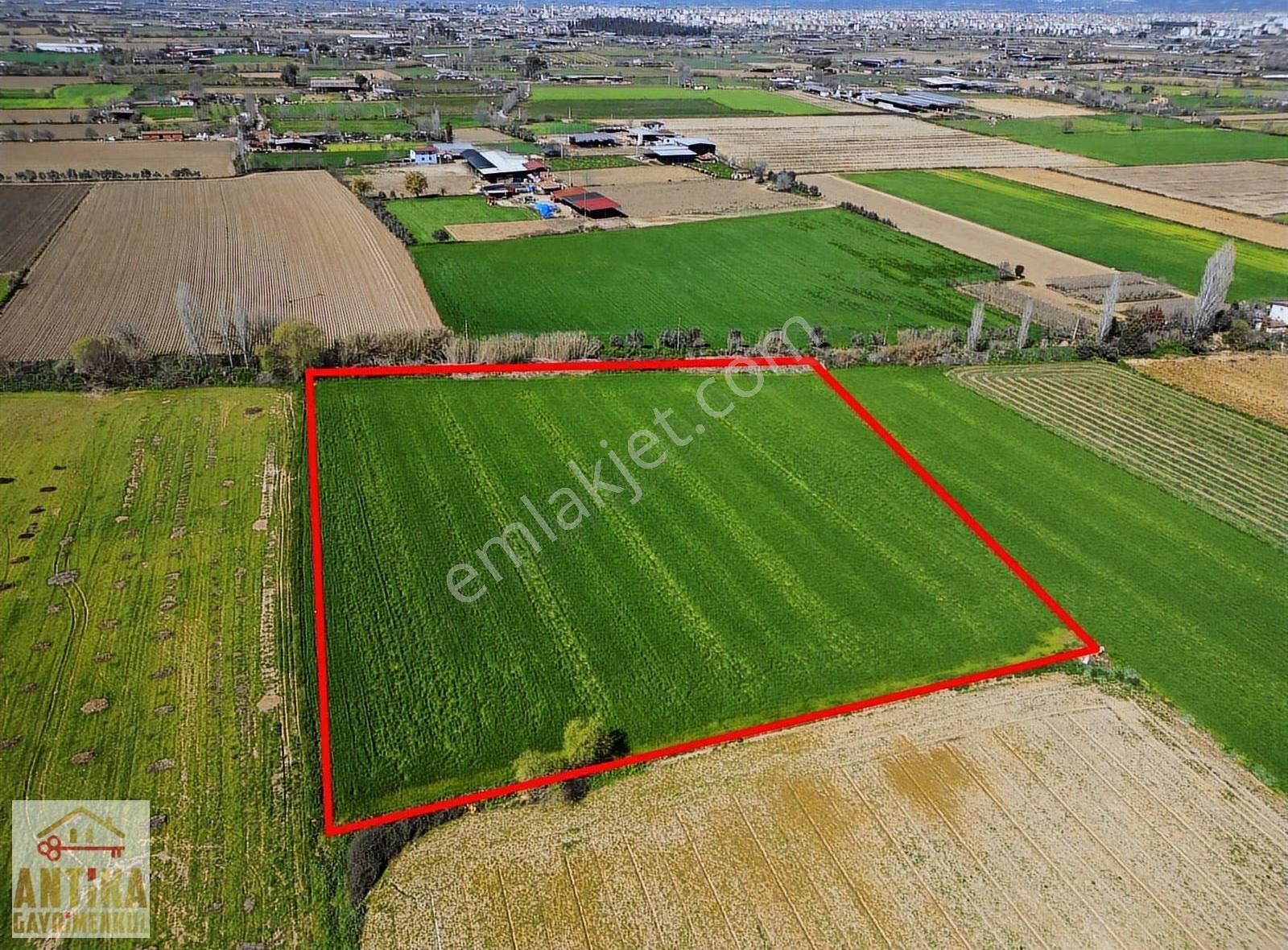Antika Gayrimenkulden Cumhuriyet Mahallesinde Satılık Tarla - Görsel 3
