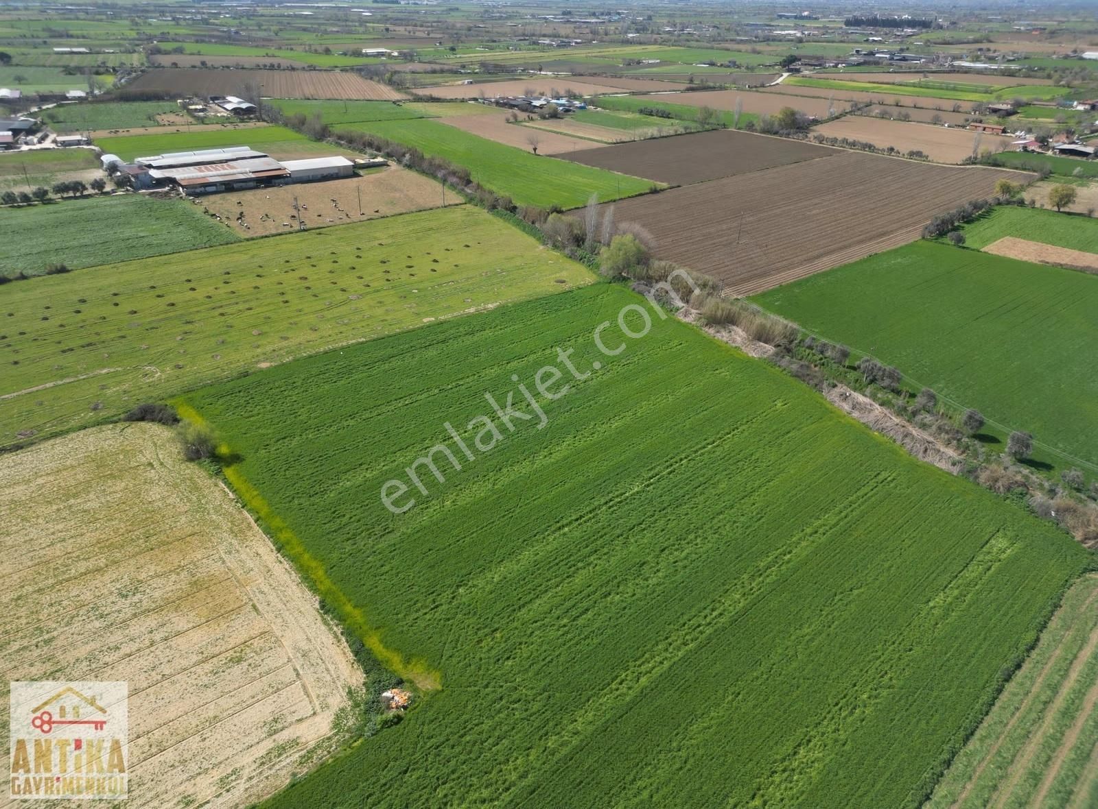 Antika Gayrimenkulden Cumhuriyet Mahallesinde Satılık Tarla - Görsel 9