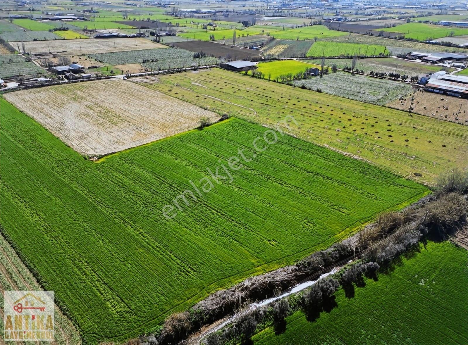 Antika Gayrimenkulden Cumhuriyet Mahallesinde Satılık Tarla - Görsel 7