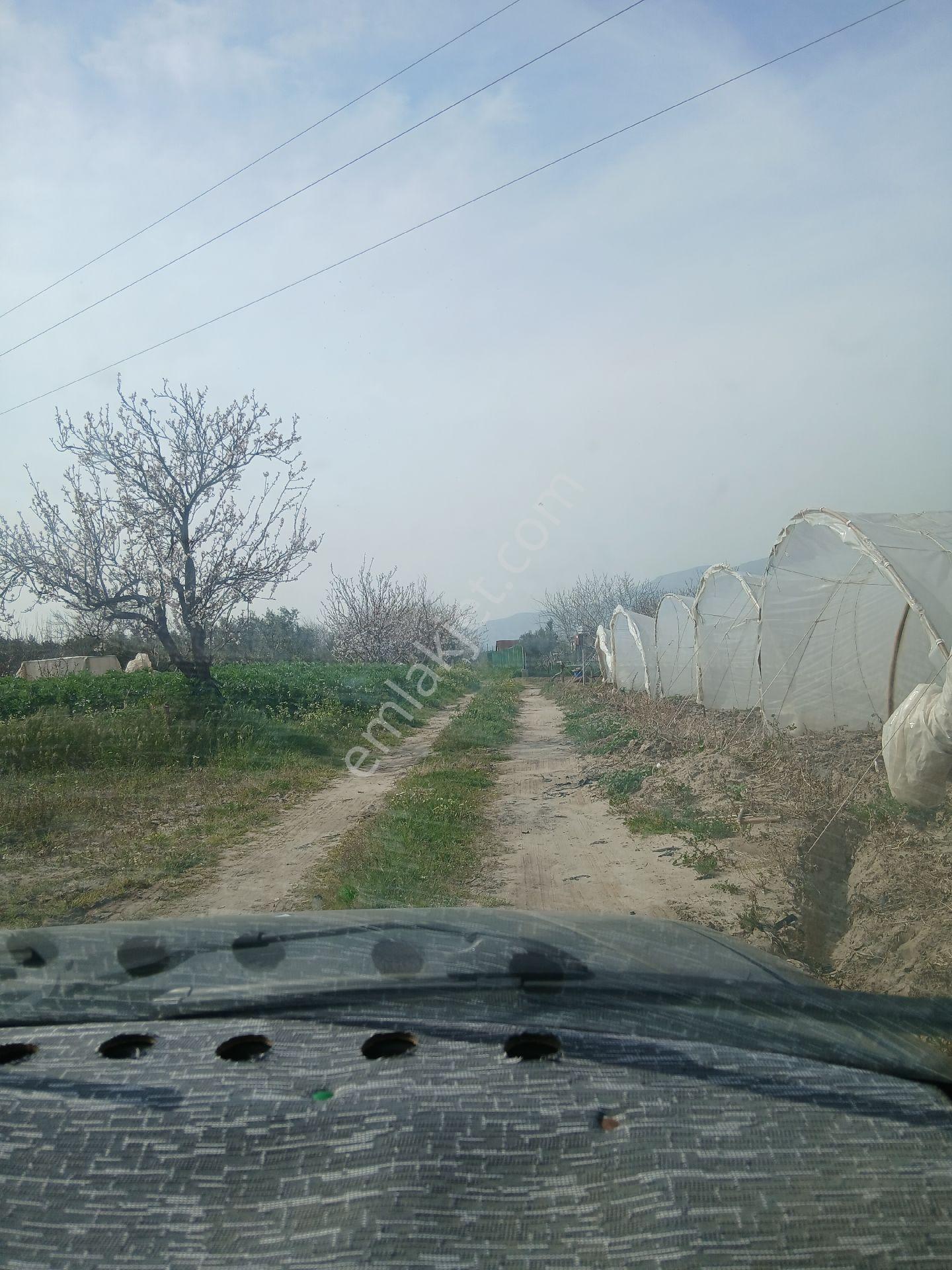 Satılık Bag Ve Tarla - Görsel 19