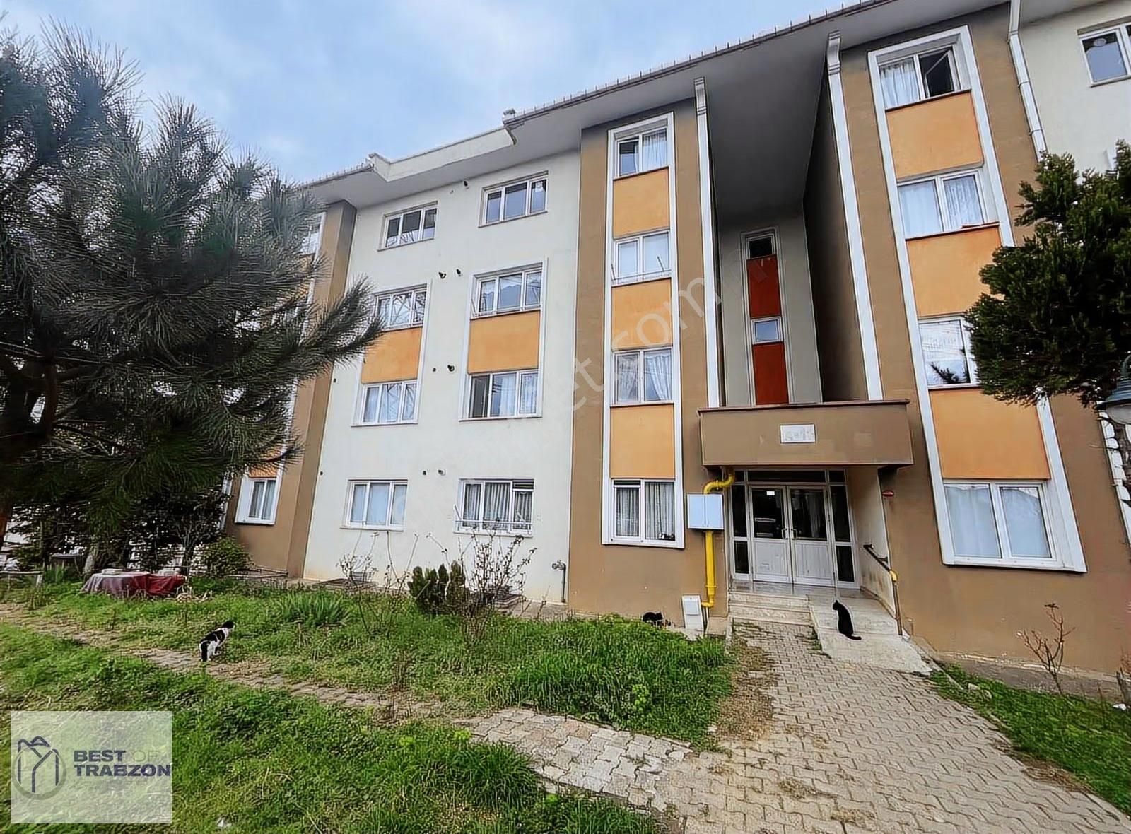 Best Of Trabzon-yıldızlı Toki Satılık