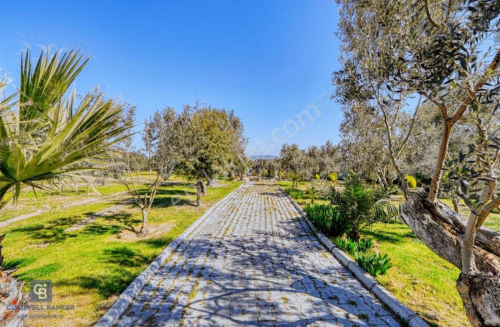 Foça Kozbeylide Deniz Manzaralı Havuzlu 6 Dönüm İçinde Villa - Görsel 22