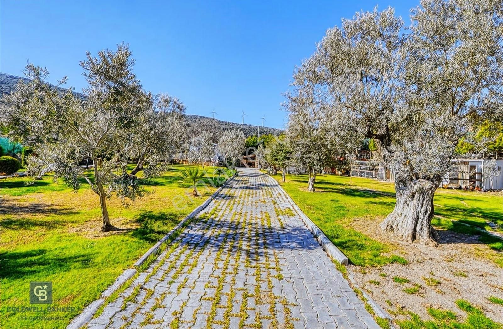 Foça Kozbeylide Deniz Manzaralı Havuzlu 6 Dönüm İçinde Villa - Görsel 32