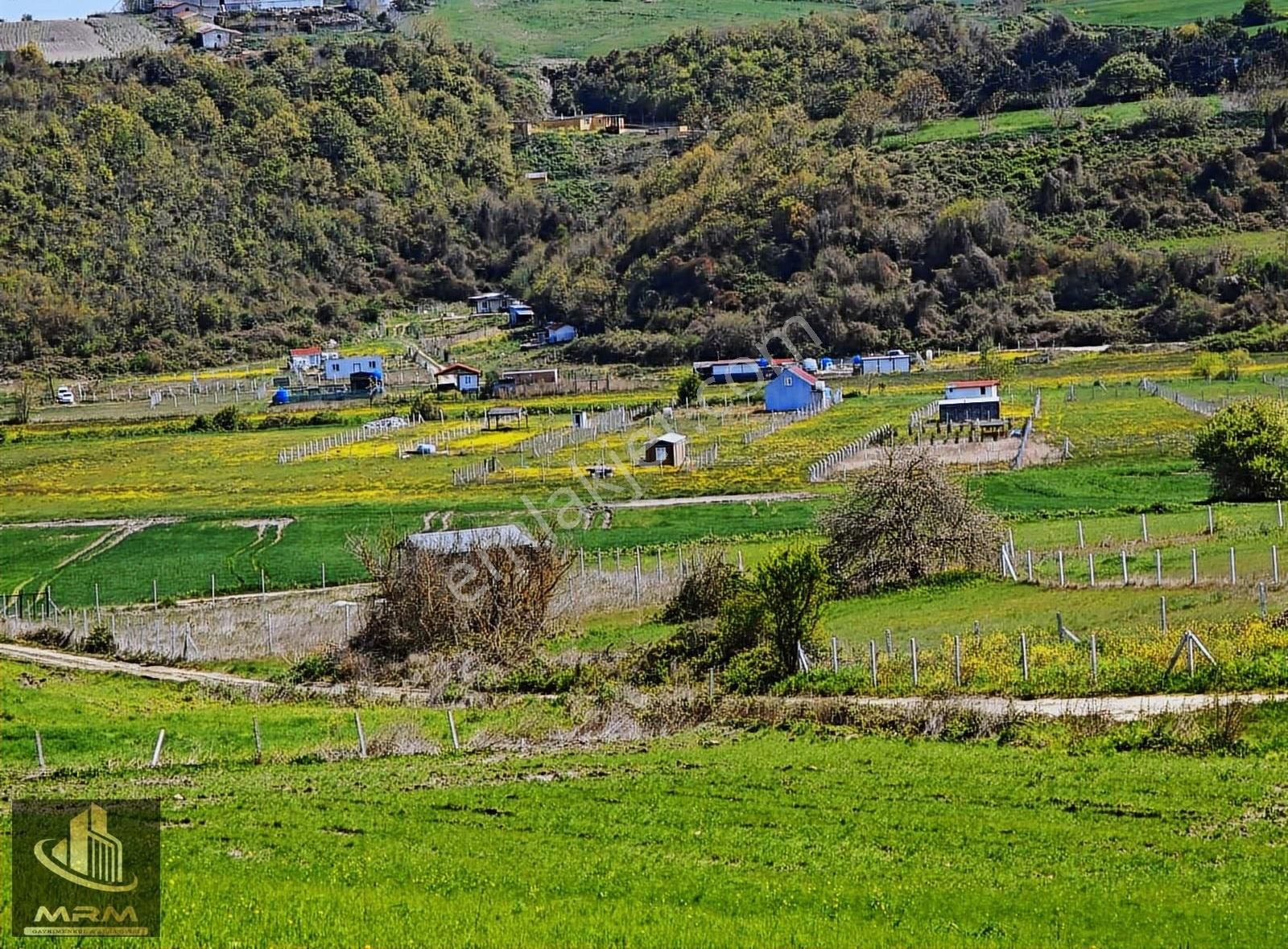 Mrm Gayrimenkul'den Çatalca Yazlık Köyde Güzel Konumda - Görsel 8
