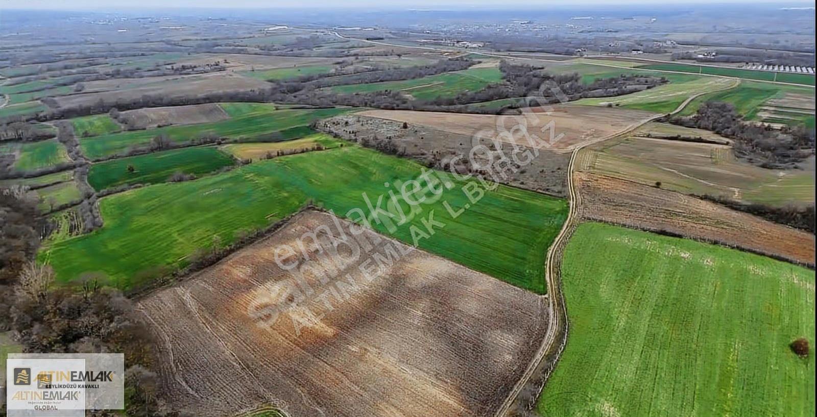 Kırklareli Lüleburgaz Hamitabat Köyü'nde 4.875 M2 Satılık Tarla - Görsel 4