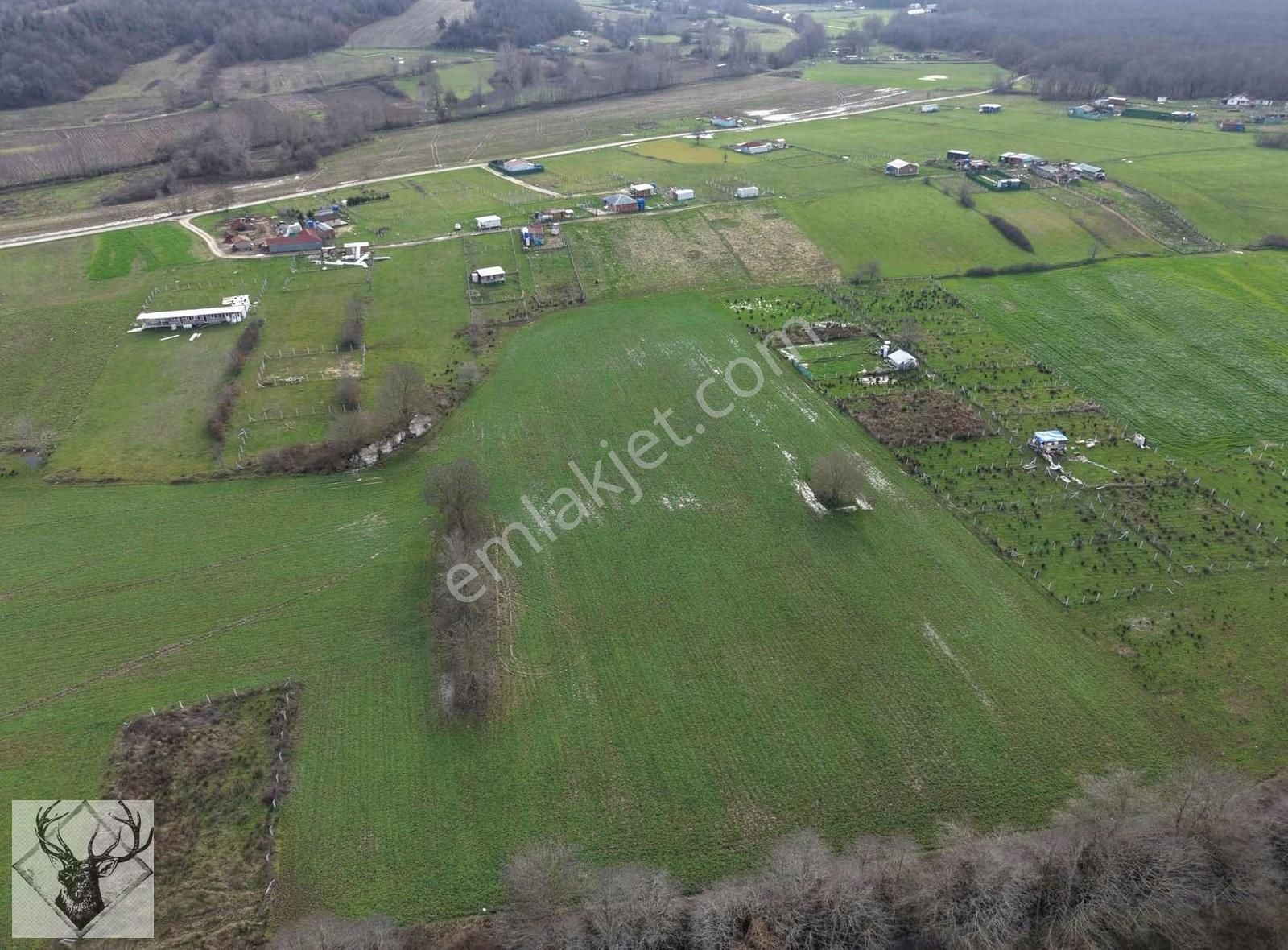 Çiftlikköyde 543 M² Çaplı Arsa İmar Sınırına Yakın | Yolu Açık - Görsel 5