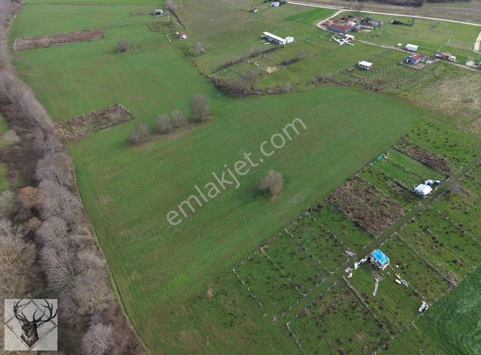 Çiftlikköyde 543 M² Çaplı Arsa İmar Sınırına Yakın | Yolu Açık - Görsel 7