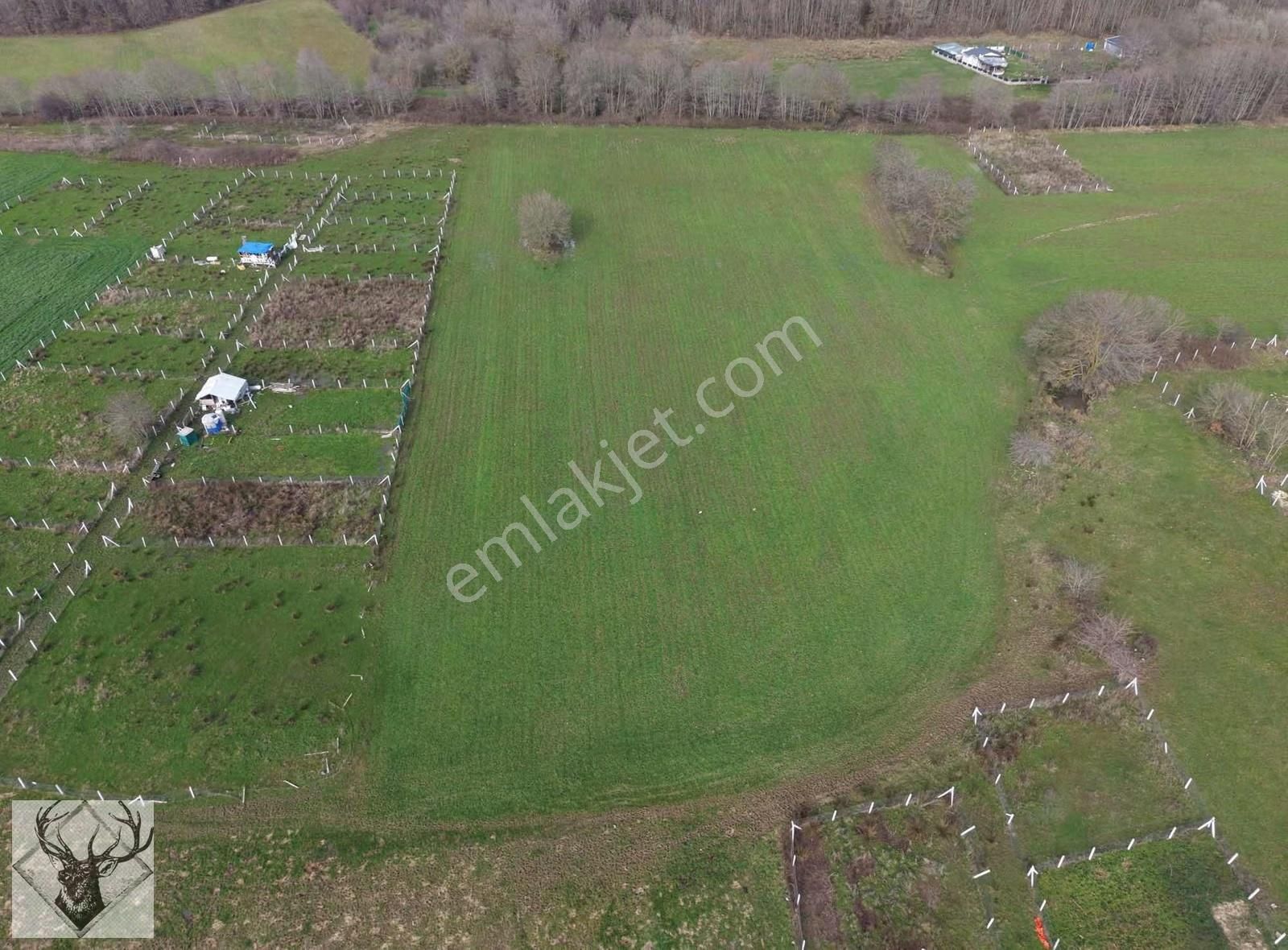 Çiftlikköyde 543 M² Çaplı Arsa İmar Sınırına Yakın | Yolu Açık