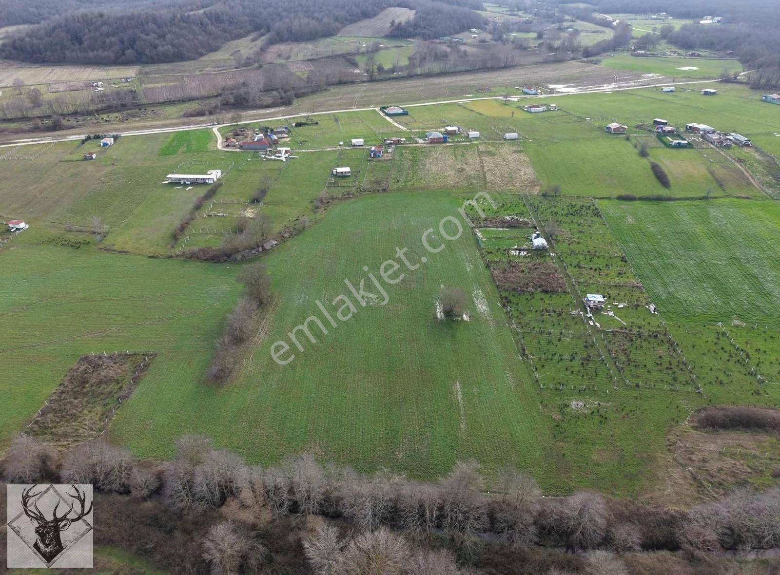 Çiftlikköyde 543 M² Çaplı Arsa İmar Sınırına Yakın | Yolu Açık - Görsel 17