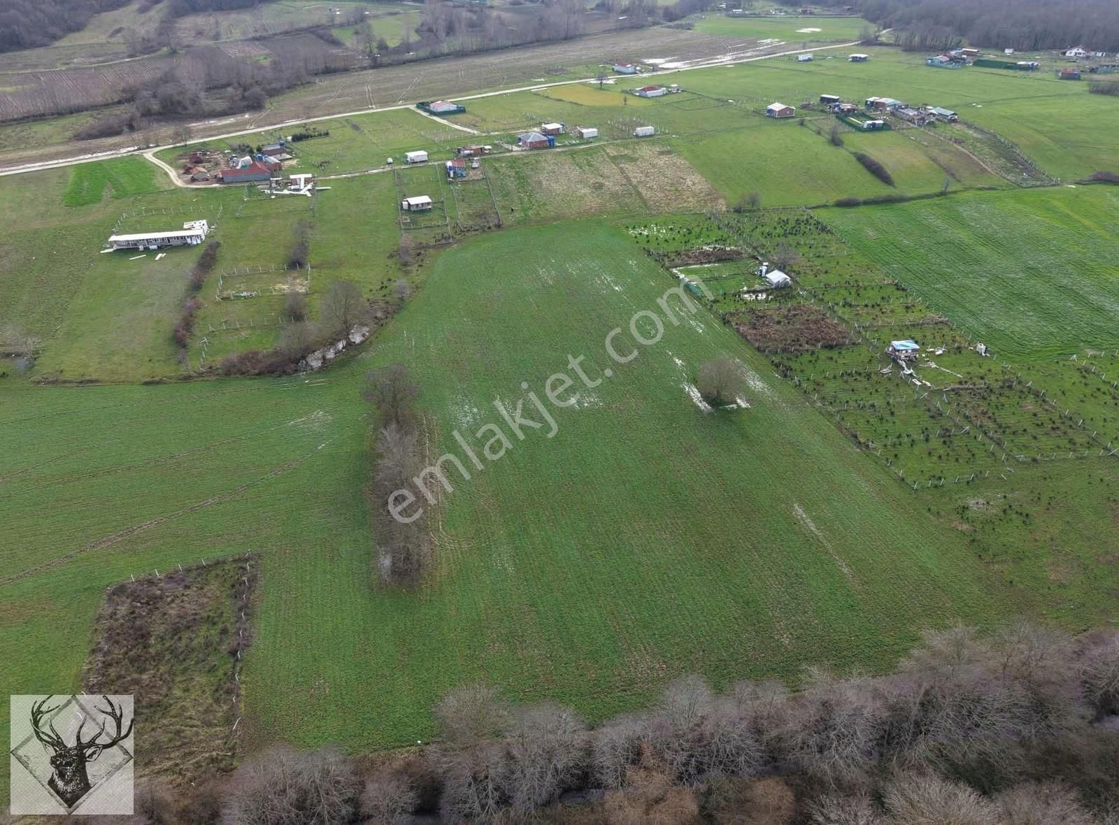 Çiftlikköyde 543 M² Çaplı Arsa İmar Sınırına Yakın | Yolu Açık - Görsel 13