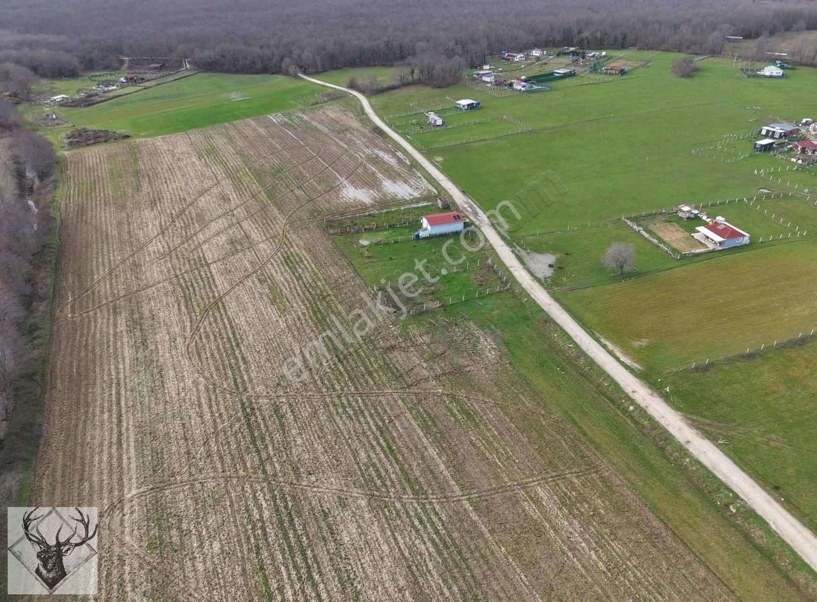 Çiftlikköyde 543 M² Çaplı Arsa İmar Sınırına Yakın | Yolu Açık - Görsel 6