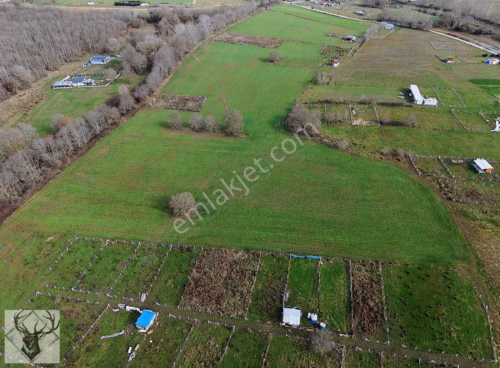 Çiftlikköyde 543 M² Çaplı Arsa İmar Sınırına Yakın | Yolu Açık - Görsel 4