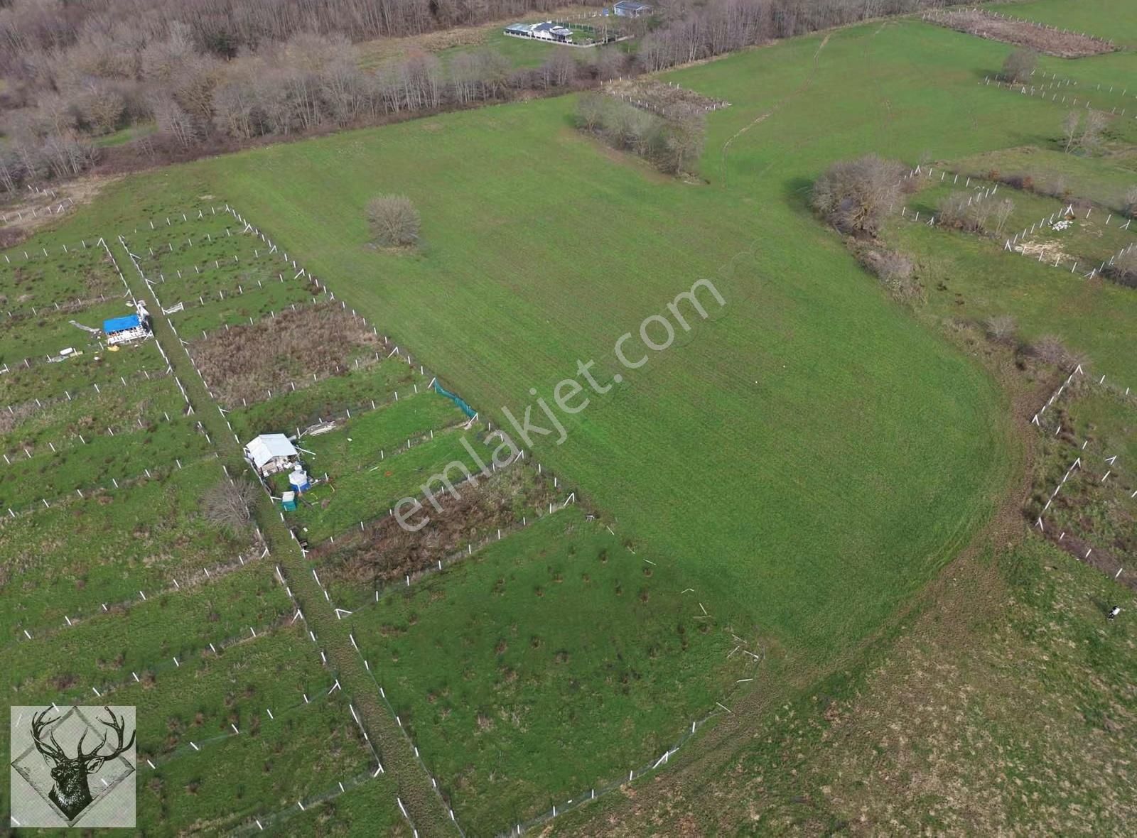 Çiftlikköyde 543 M² Çaplı Arsa İmar Sınırına Yakın | Yolu Açık - Görsel 3