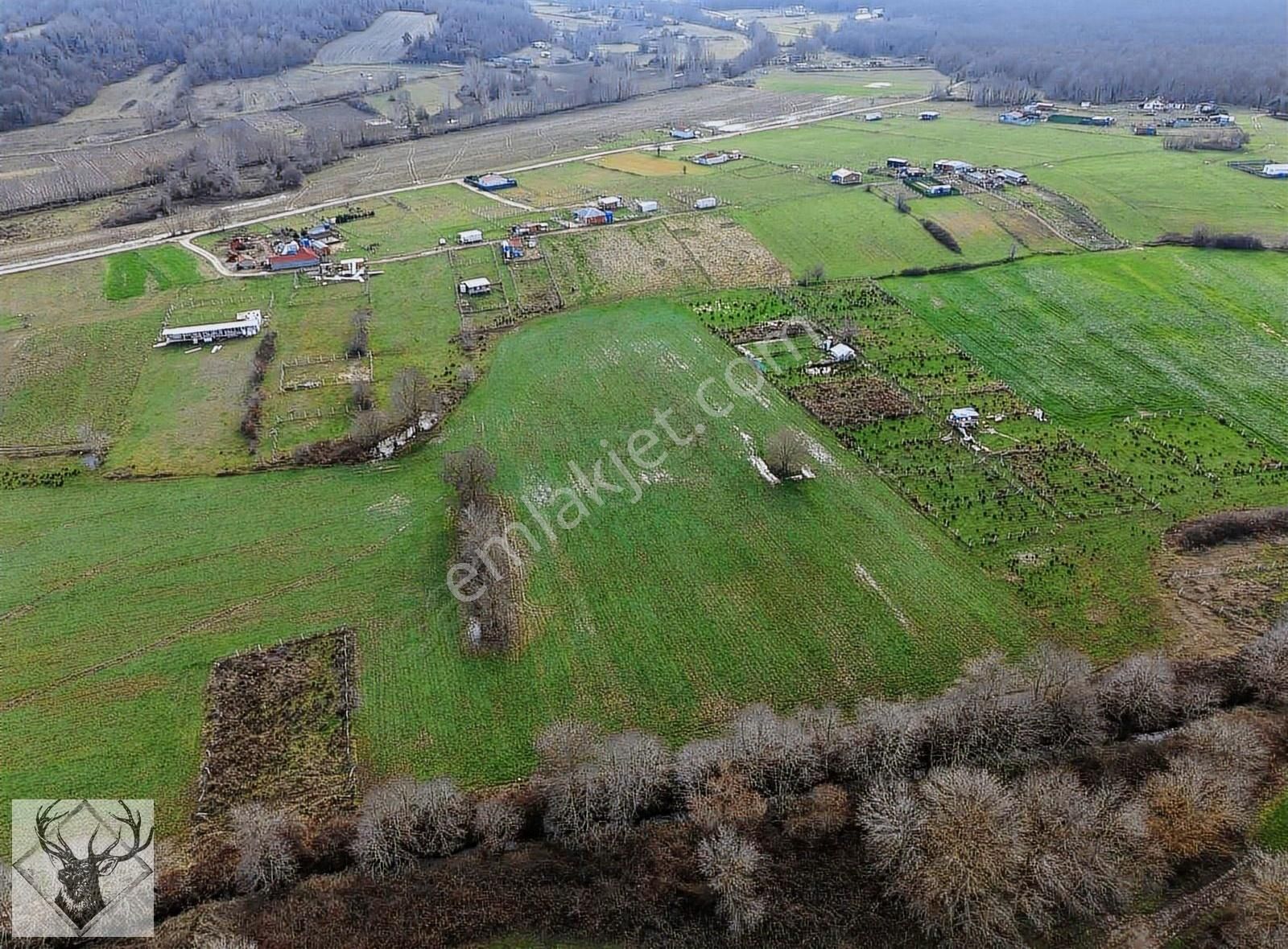 Çiftlikköyde 543 M² Çaplı Arsa İmar Sınırına Yakın | Yolu Açık - Görsel 24