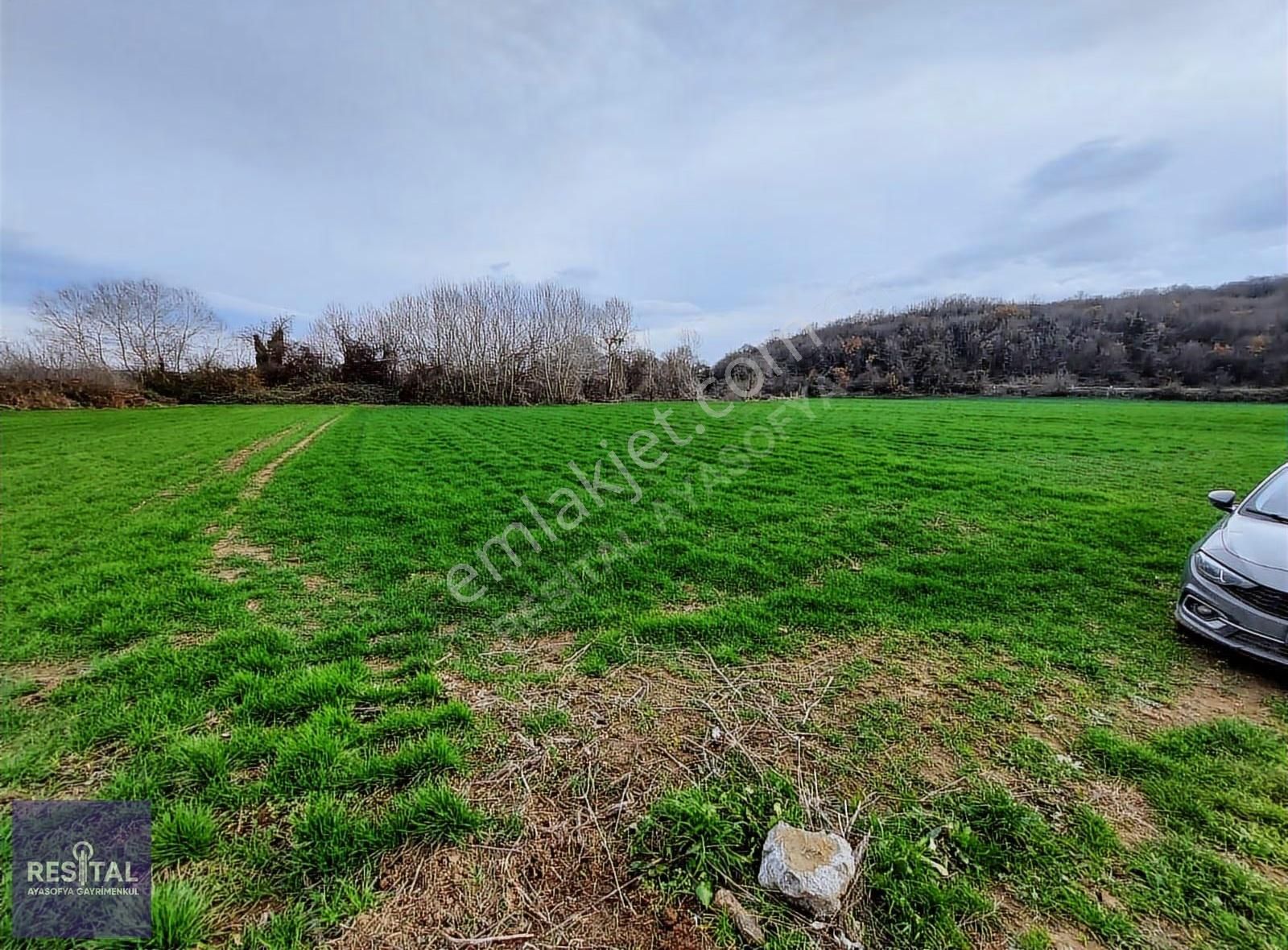 Karacabey Hürriyet Köyde Yatıırmlık Tarla