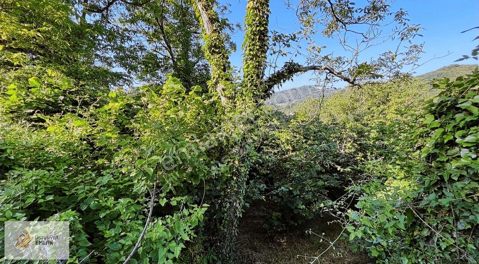 Bartın Amasra Kazpınarı Köyünde 3 Kat İmarlı Satılık 562 M2 Arsa - Görsel 9
