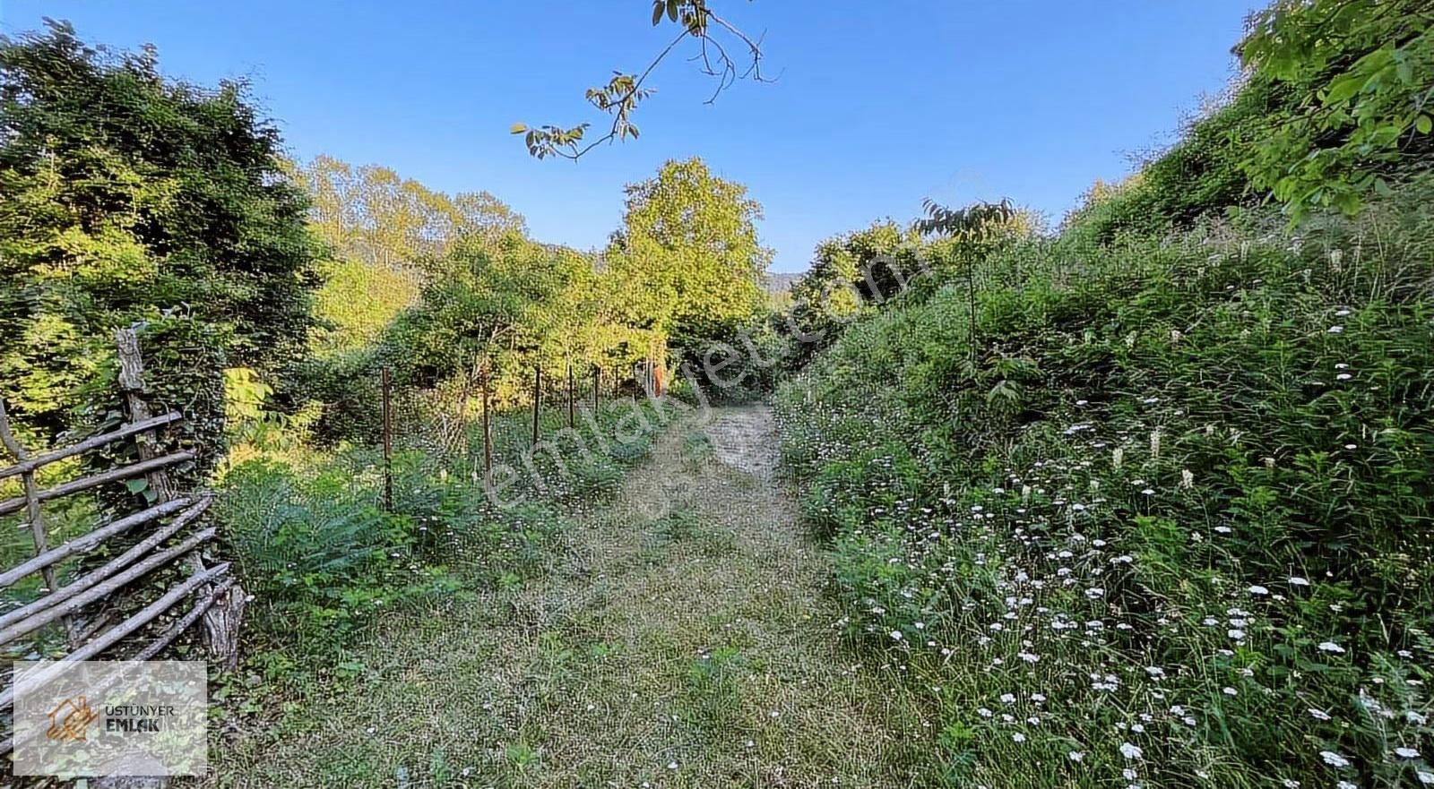 Bartın Amasra Kazpınarı Köyünde 3 Kat İmarlı Satılık 562 M2 Arsa