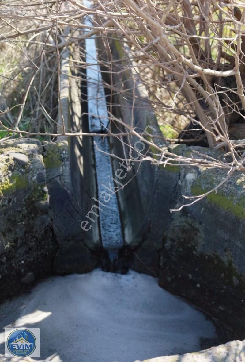 Gerenköyde Asfalt Cepheli, Dsi Sulama Kanallı Değerli Tarla