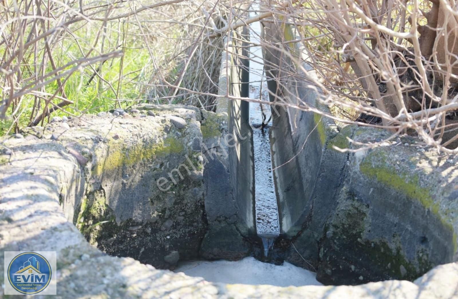 Gerenköyde Asfalt Cepheli, Dsi Sulama Kanallı Değerli Tarla - Görsel 2