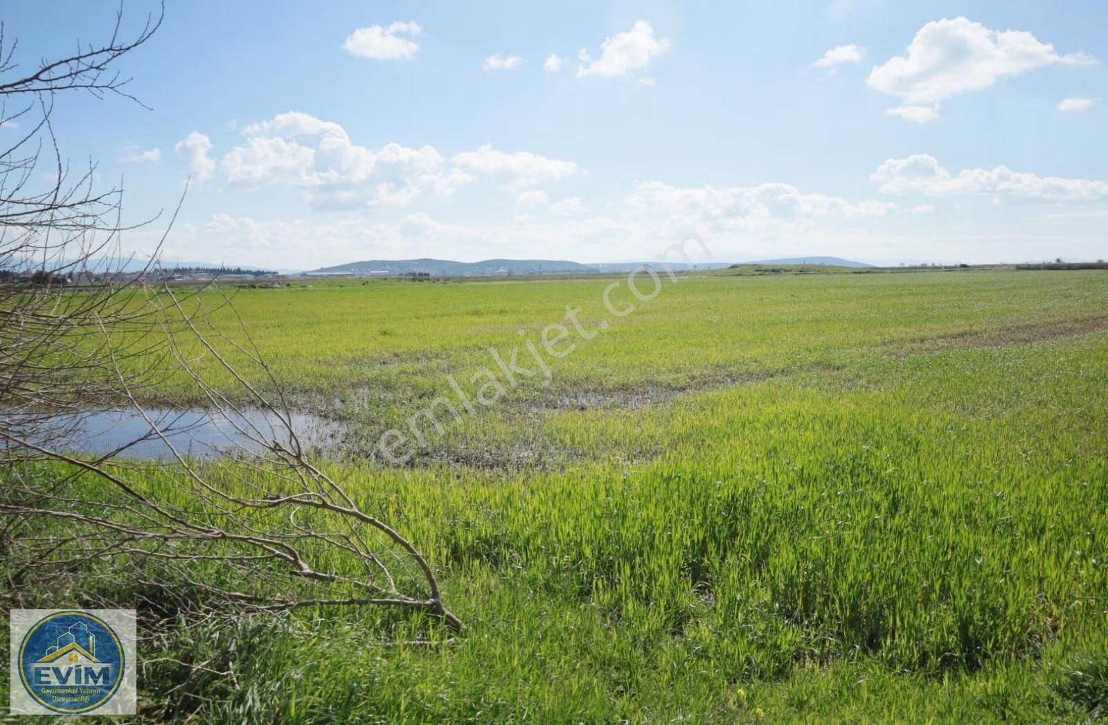 Gerenköyde Asfalt Cepheli, Dsi Sulama Kanallı Değerli Tarla - Görsel 10