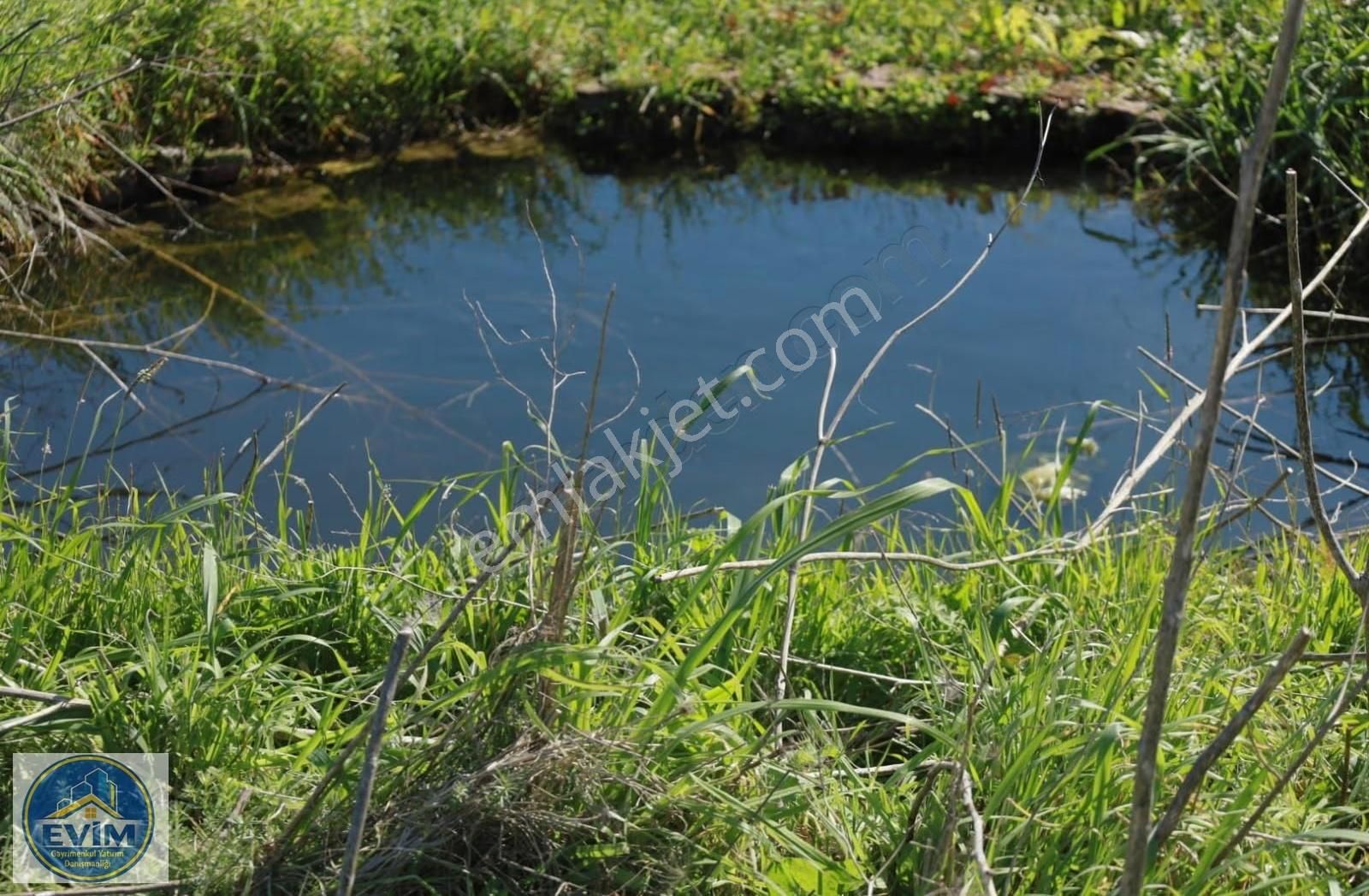 Gerenköyde Asfalt Cepheli, Dsi Sulama Kanallı Değerli Tarla - Görsel 6