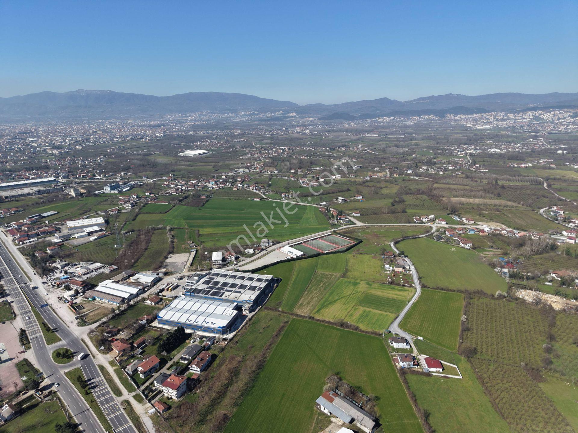 Gümüşpınar Mahallesi'nde D-100'e Çok Yakın 3695 M2 Satılık Ticari+konut İmarlı Arsa - Görsel 21