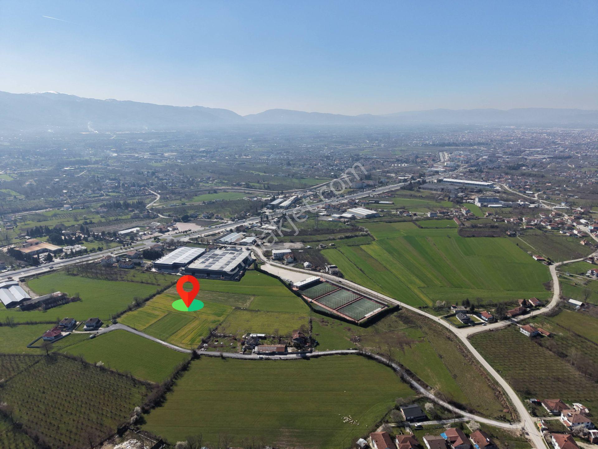 Gümüşpınar Mahallesi'nde D-100'e Çok Yakın 3695 M2 Satılık Ticari+konut İmarlı Arsa - Görsel 19
