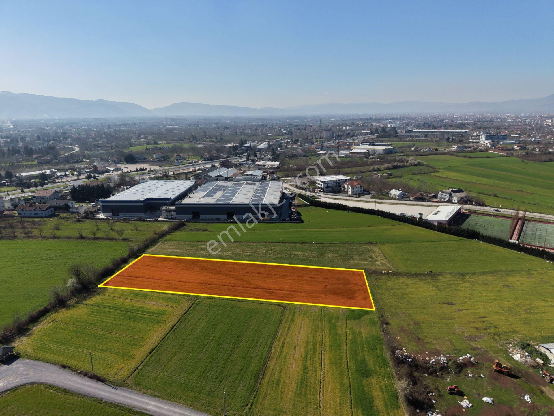 Gümüşpınar Mahallesi'nde D-100'e Çok Yakın 3695 M2 Satılık Ticari+konut İmarlı Arsa - Görsel 3