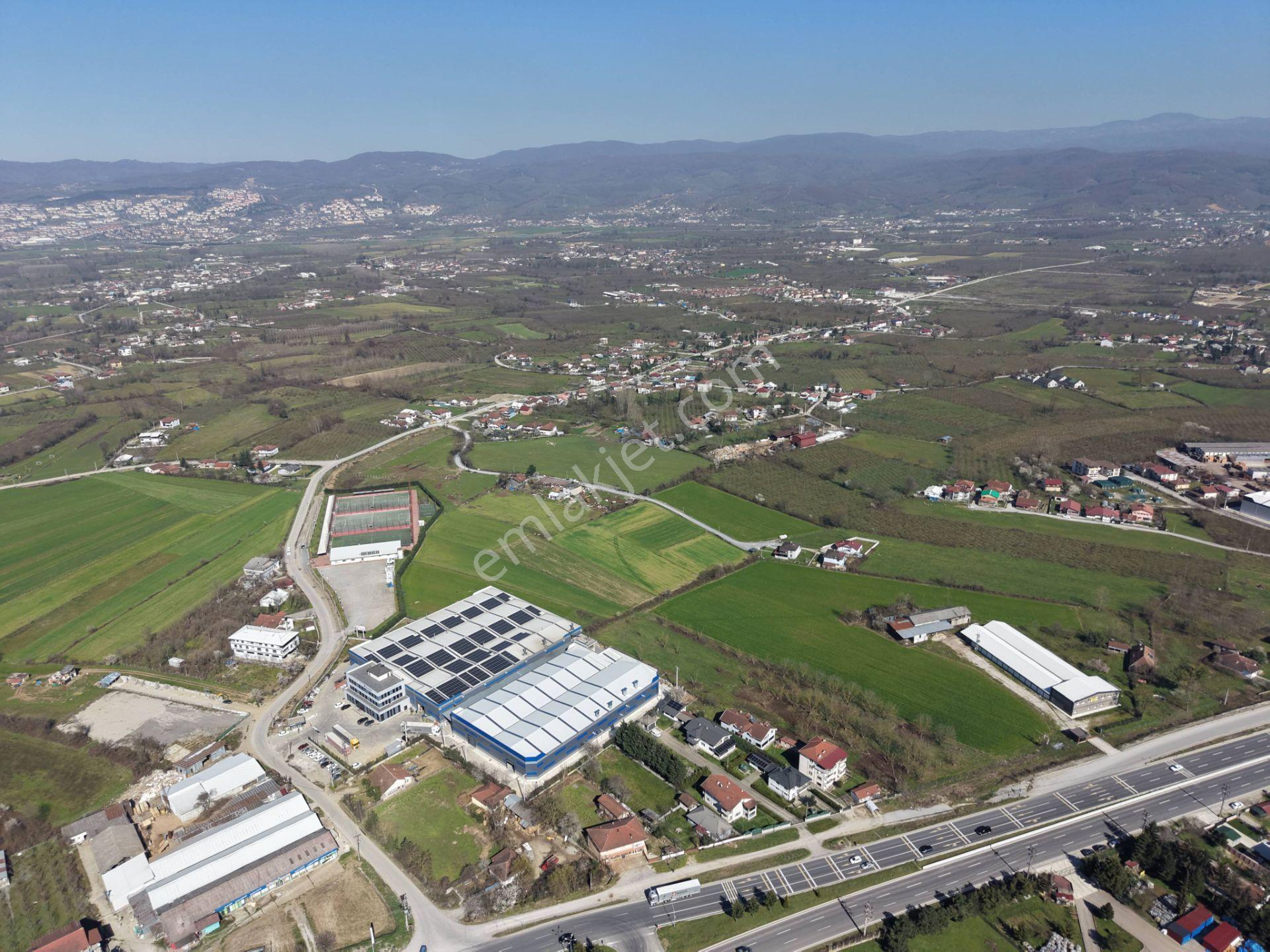 Gümüşpınar Mahallesi'nde D-100'e Çok Yakın 3695 M2 Satılık Ticari+konut İmarlı Arsa - Görsel 22
