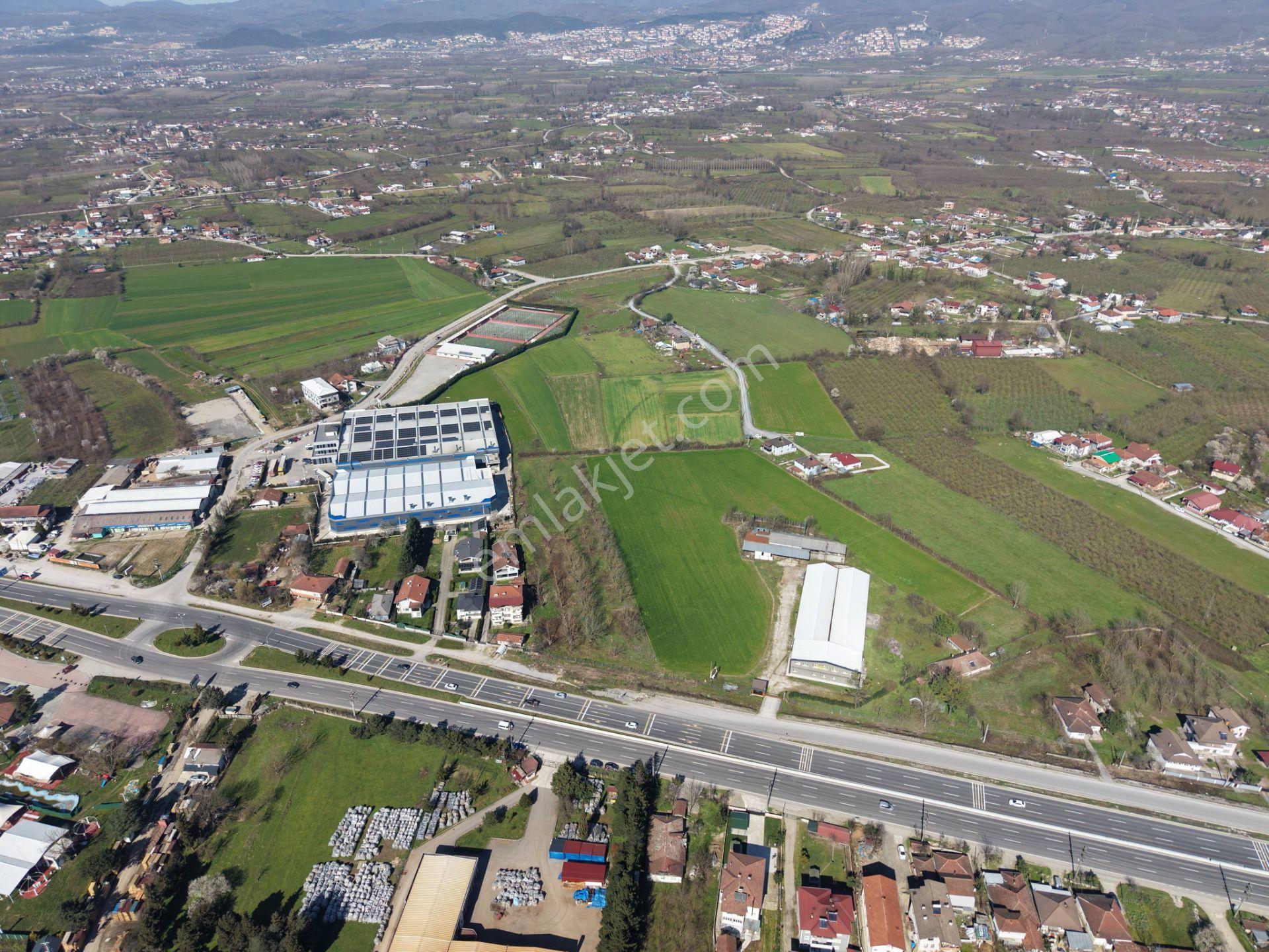 Gümüşpınar Mahallesi'nde D-100'e Çok Yakın 3695 M2 Satılık Ticari+konut İmarlı Arsa - Görsel 30