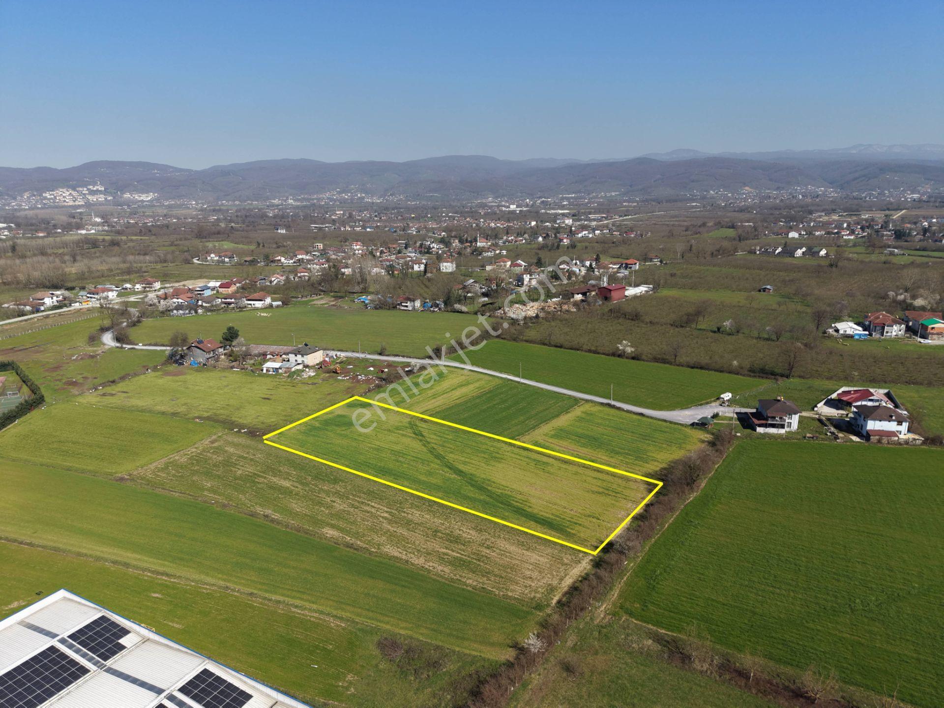 Gümüşpınar Mahallesi'nde D-100'e Çok Yakın 3695 M2 Satılık Ticari+konut İmarlı Arsa - Görsel 4